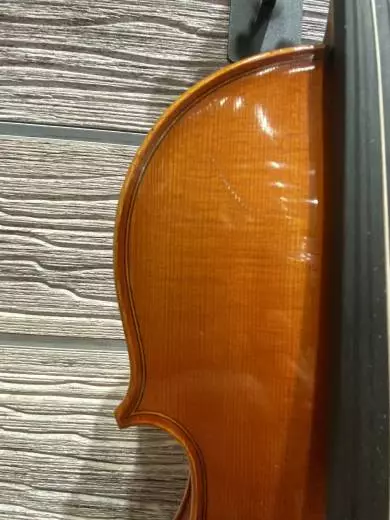 Eastman Strings - VL100LM 7/8 OF 2